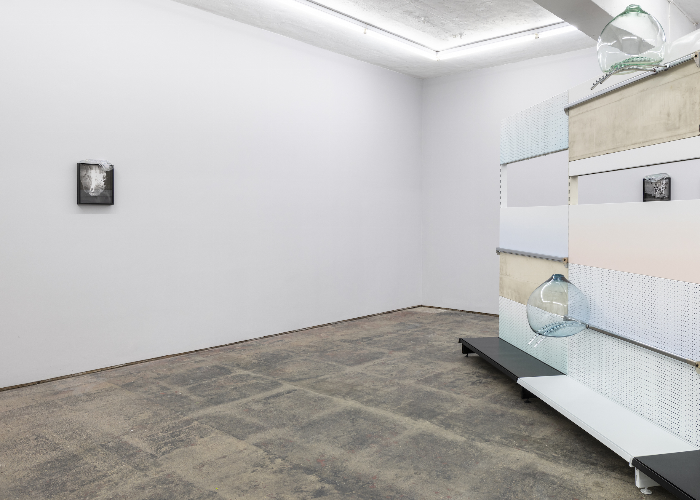 Gabriele Beveridge — selectedarchive